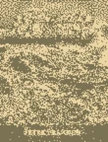 The Discovery of Sussex