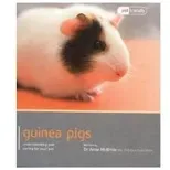 Guinea Pig - Pet Friendly