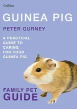 Guinea Pig