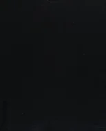 The Controversy of Renaissance Art