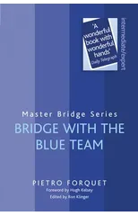 Bridge With The Blue Team