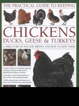 Practical Guide to Keeping Chickens, Duck, Geese & Turkeys