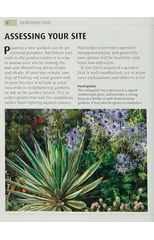 RHS What Plant When