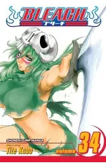 Bleach, Vol. 34