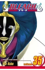 Bleach, Vol. 35