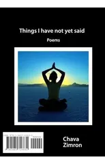 Things I Have Not Yet Said