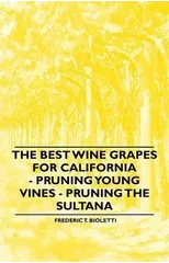 The Best Wine Grapes for California - Pruning Young Vines - Pruning the Sultana