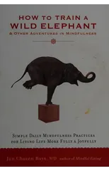 How to Train a Wild Elephant
