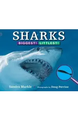 Sharks