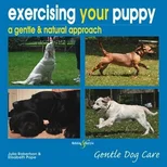 Exercising Your Puppy