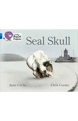 Seal Skull