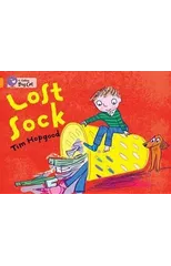 The Lost Sock