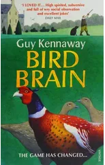 Bird Brain