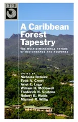 A Caribbean Forest Tapestry