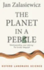 The Planet in a Pebble