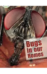 Bug Club Independent Non Fiction Year Two Lime A Bugs in our Homes