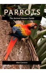 Parrots