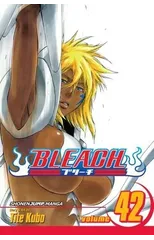 Bleach, Vol. 42