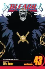 Bleach, Vol. 43
