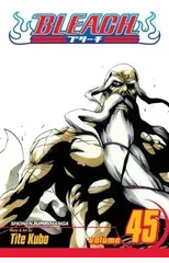 Bleach, Vol. 45