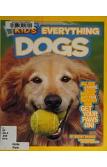 Everything Dogs