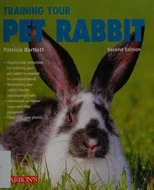 Training Your Pet Rabbit