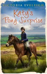 Katy's Exmoor Ponies