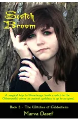 Scotch Broom