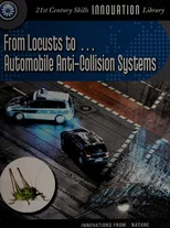 From Locusts To... Automobile Anti-Collision Systems