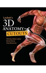 Locket's 3D Anatomy Cutouts