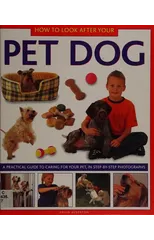 How to Look After Your Pet Dog