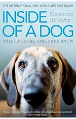 Inside of a Dog