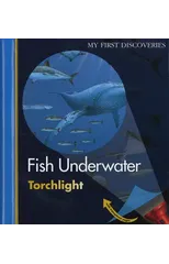 Fish Underwater