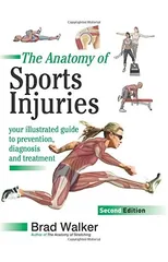 The Anatomy of Sports Injuries