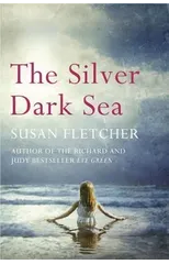 The Silver Dark Sea