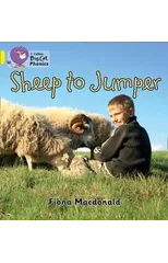 Sheep to Jumper