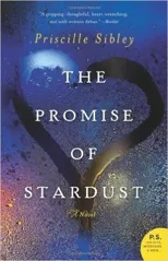 The Promise of Stardust
