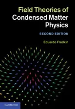 Field Theories of Condensed Matter Physics (Revised)