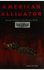 American Alligator
