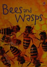 Bees and Wasps