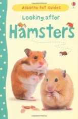 Looking after Hamsters