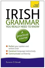 Irish Grammar You Really Need to Know