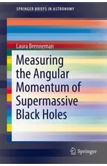 Measuring the Angular Momentum of Supermassive Black Holes