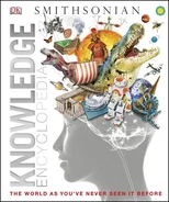 Knowledge Encyclopedia (Updated and Enlarged Edition)