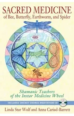 Sacred Medicine of Bee, Butterfly, Earthworm, and Spider