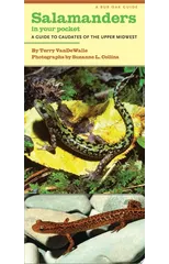 Salamanders in Your Pocket