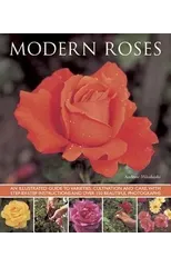 Modern Roses