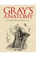 Grays Anatomy
