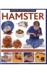 How to Look After Your Hamster