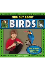 Find Out About Birds
